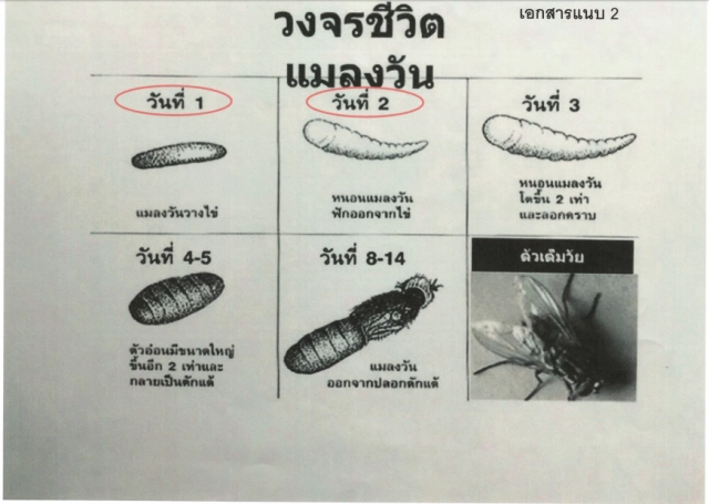 ซูเปอร์ ซีเชฟ ชี้แจงกรณีพบหนอนมีชีวิตในปลากระป๋องยี่ห้อหนึ่ง
