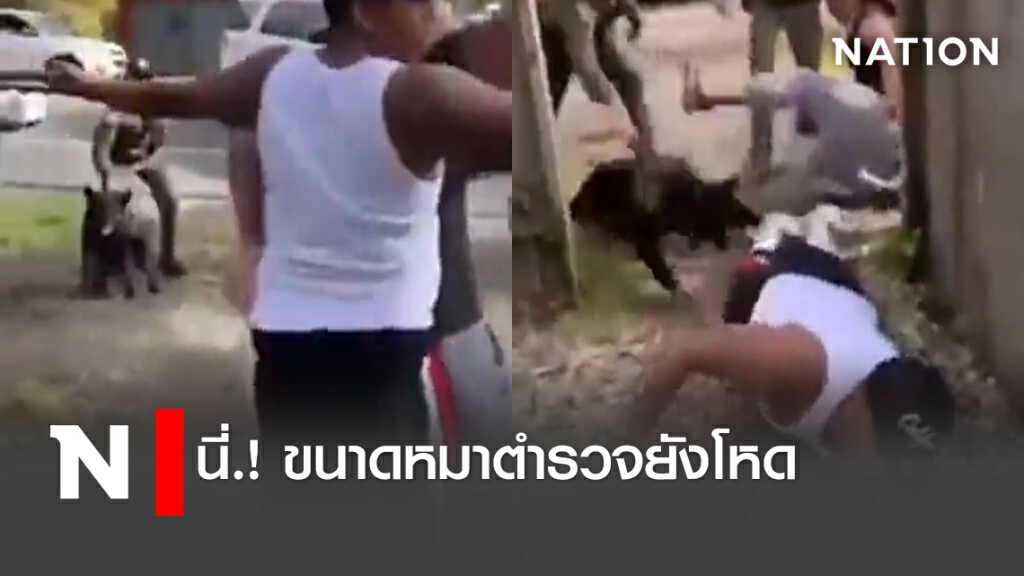 นี่.! ขนาดหมาตำรวจยังโหด นี่.! ขนาดหมาตำรวจยังโหด