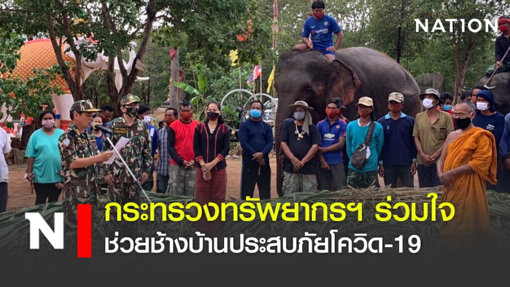 กระทรวงทรัพยากรฯ ร่วมใจ ช่วยช้างบ้านประสบภัยโควิด-19