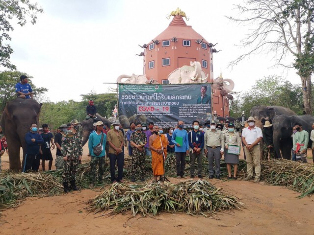 กระทรวงทรัพยากรฯ ร่วมใจ ช่วยช้างบ้านประสบภัยโควิด-19