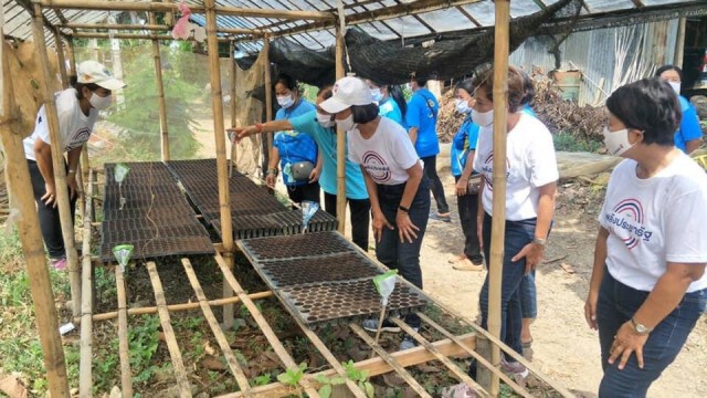 "พรรณสิริ"หนุนเกษตรอินทรีย์ตาม"สุโขทัยพอเพียง"