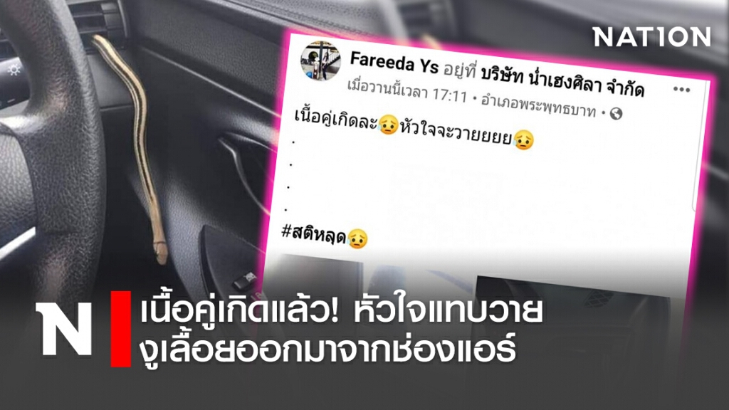 เนื้อคู่เกิดแล้ว! หัวใจแทบวาย งูเลื้อยออกมาจากช่องแอร์รถ เนื้อคู่เกิดแล้ว! หัวใจแทบวาย งูเลื้อยออกมาจากช่องแอร์รถ