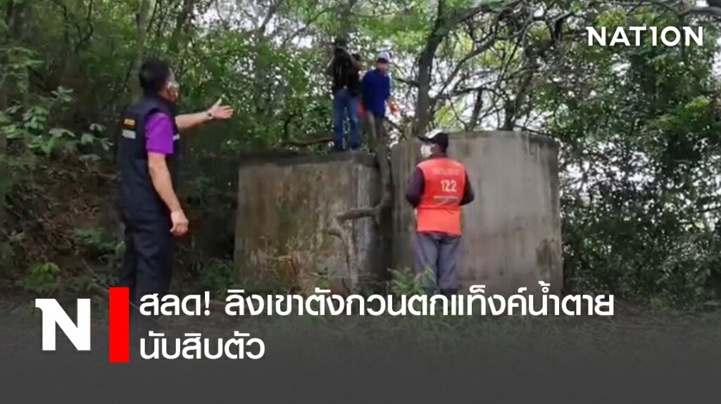 สลด!ลิงเขาตังกวนตกแท็งค์น้ำตายนับสิบตัว