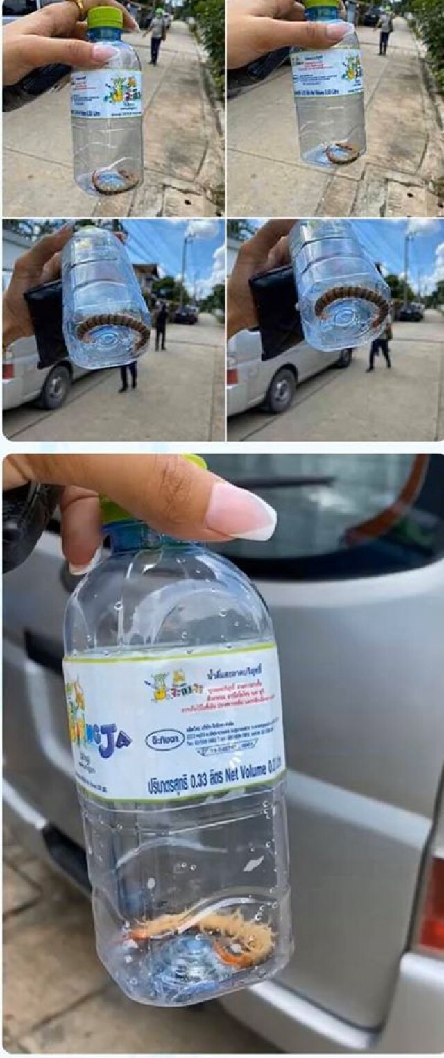 สงครามยกสองเริ่ม "ณวัฒน์" ฉะ "ช่องดัง" พูดจาใส่ร้ายคน