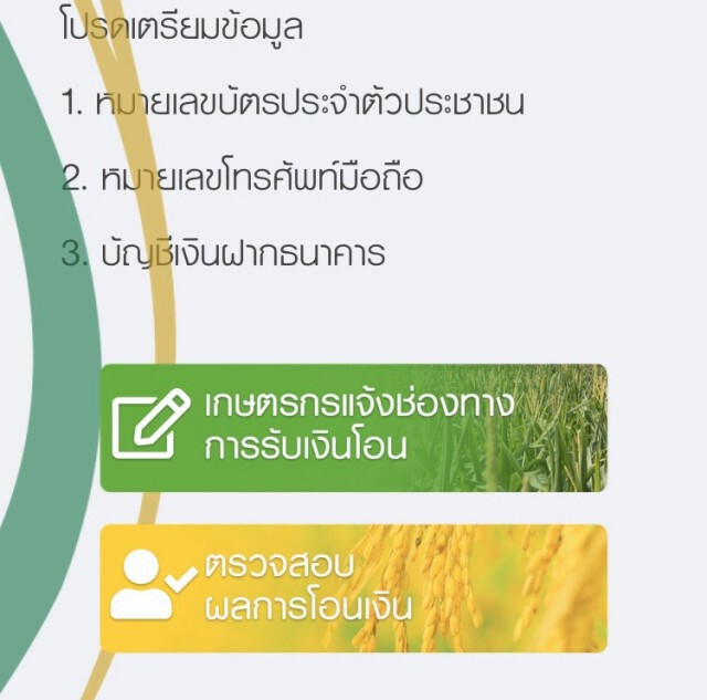 วันสุดท้าย! ยื่นอุทธรณ์รับเยียวยาเกษตรกร รีบตรวจสอบสิทธิ์