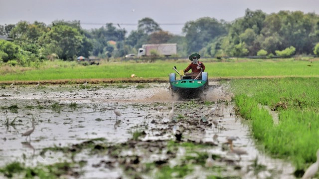 ฝนตกชุ่มฉ่ำ ชาวนาปทุมฯ เร่งไถนาเตรียมหว่านข้าว