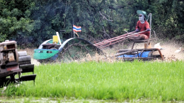 ฝนตกชุ่มฉ่ำ ชาวนาปทุมฯ เร่งไถนาเตรียมหว่านข้าว