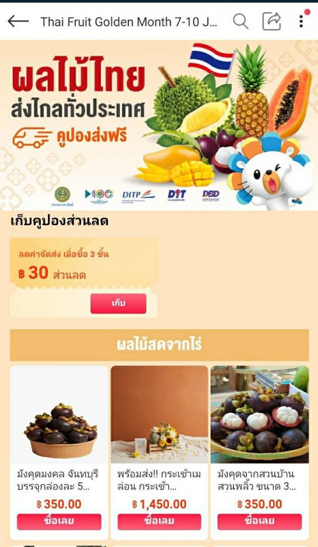 พาณิชย์หนุนเกษตรกรไทยส่งผลไม้ราคาถูกขาย Lazada