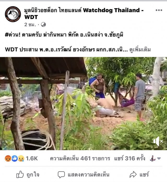 แชร์ว่อนคลิป 3 หนุ่มใหญ่ ชำแหละสุนัขย่างกิน
