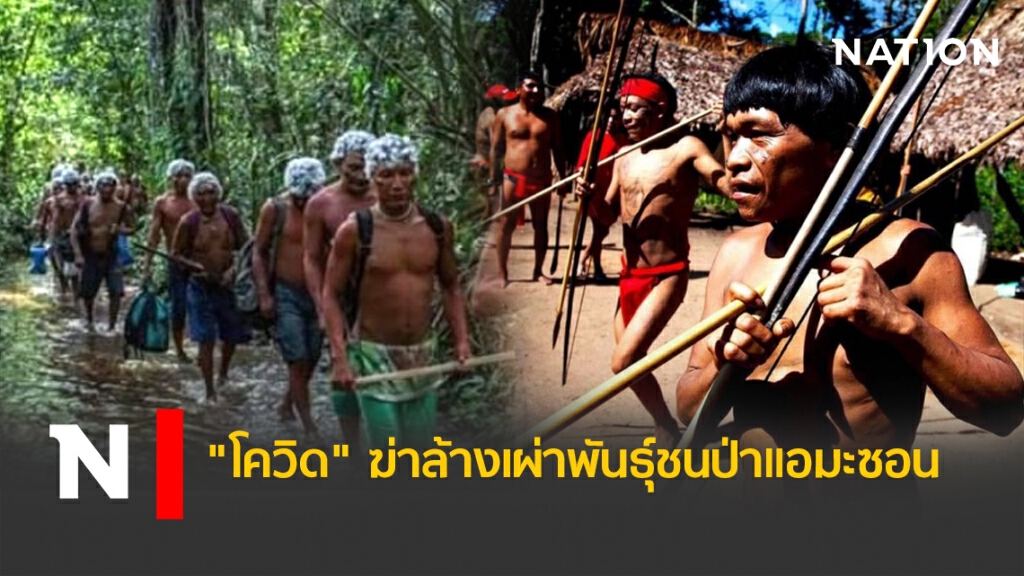 "โควิด" ฆ่าล้างเผ่าพันธุ์ชนป่าอเมซอน