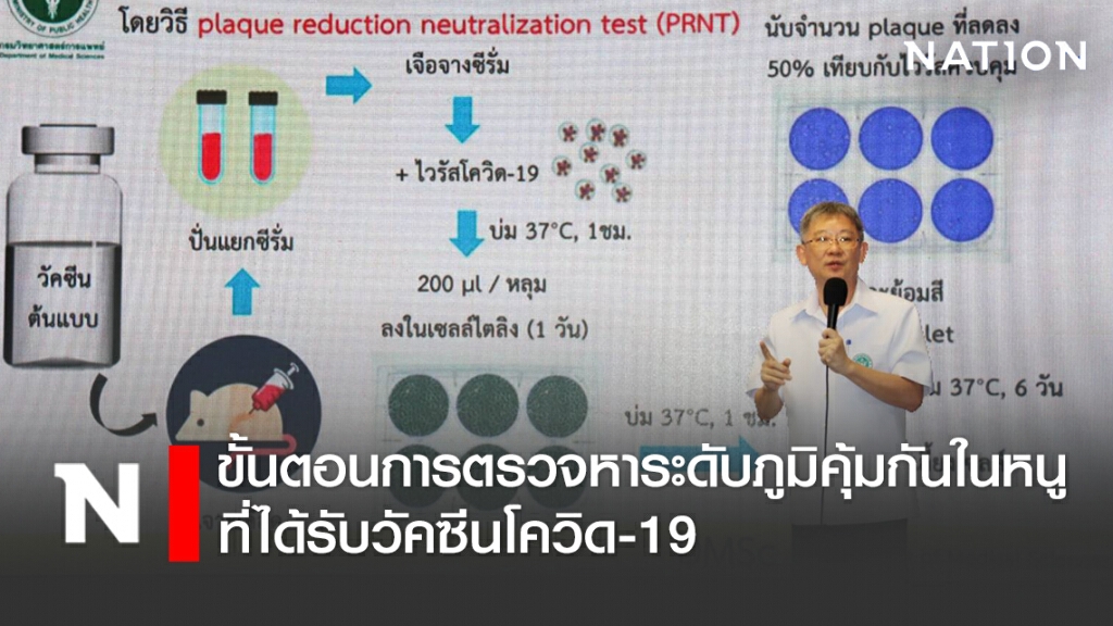 กรมวิทย์ฯเผยขั้นตอนการตรวจหาระดับภูมิคุ้มกันในหนูที่ได้รับวัคซีนโควิด-19
