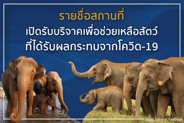 "ก้อง สหรัถ" แจงยอดสมทบช่วยเหลือสัตว์ ใจป้ำสมทบเพิ่มอีก ล้านเจ็ด