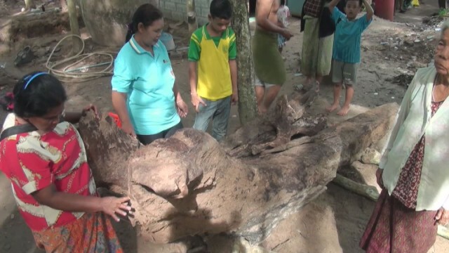 ท้าวเวชสุวรรณเข้าทรงช่างซ่อมรถ สั่งขุดต้นตะเคียนทองอายุกว่า 100 ปี