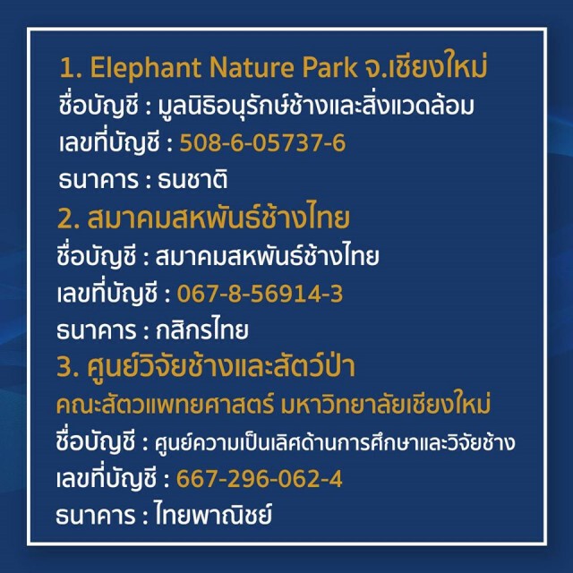 "ก้อง สหรัถ" แจงยอดสมทบช่วยเหลือสัตว์ ใจป้ำสมทบเพิ่มอีก ล้านเจ็ด
