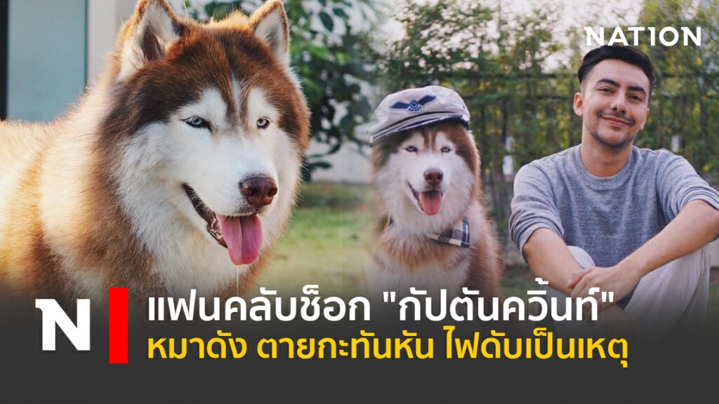 แฟนคลับช็อก "กัปตันควิ้นท์" หมาดัง ตายกะทันหัน ไฟดับเป็นเหตุ แฟนคลับช็อก "กัปตันควิ้นท์" หมาดัง ตายกะทันหัน ไฟดับเป็นเหตุ