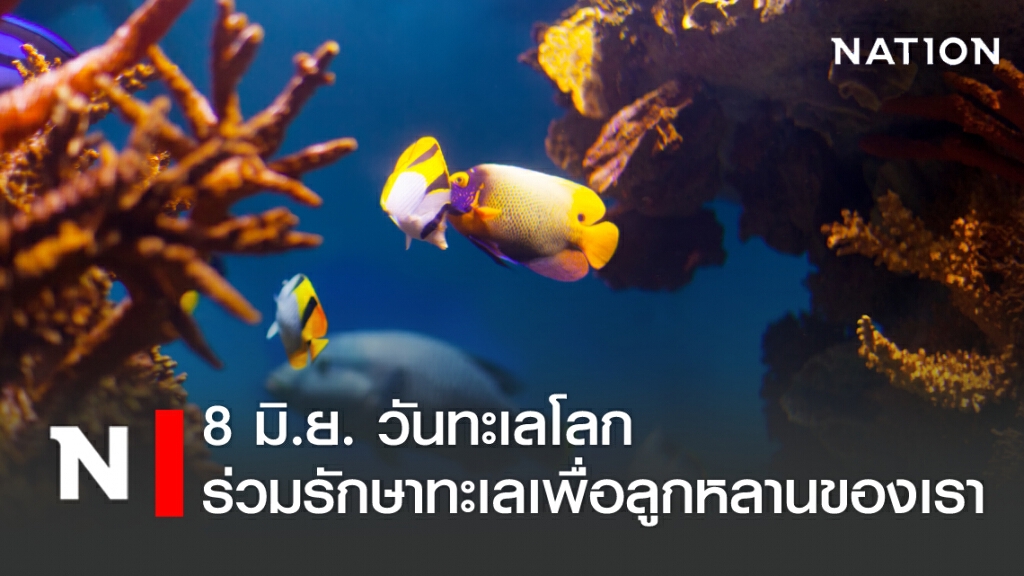 8 มิ.ย. วันทะเลโลก ร่วมรักษาทะเลเพื่อลูกหลานของเรา