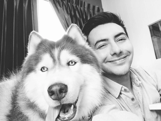 แฟนคลับช็อก "กัปตันควิ้นท์" หมาดัง ตายกะทันหัน ไฟดับเป็นเหตุ