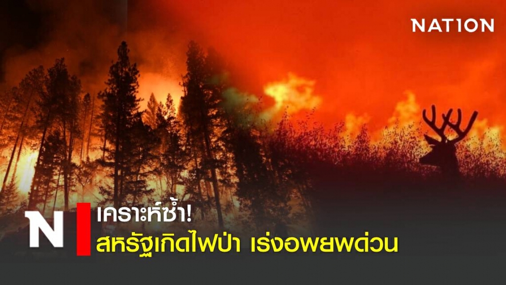 เกิดเหตุไฟป่าลุกลามที่แคลิฟอร์เนีย เสียหายแล้วกว่า3.6พันไร่