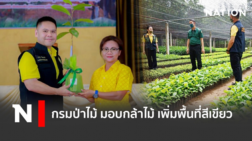 กรมป่าไม้ มอบกล้าไม้ เพิ่มพื้นที่สีเขียว กรมป่าไม้ มอบกล้าไม้ เพิ่มพื้นที่สีเขียว