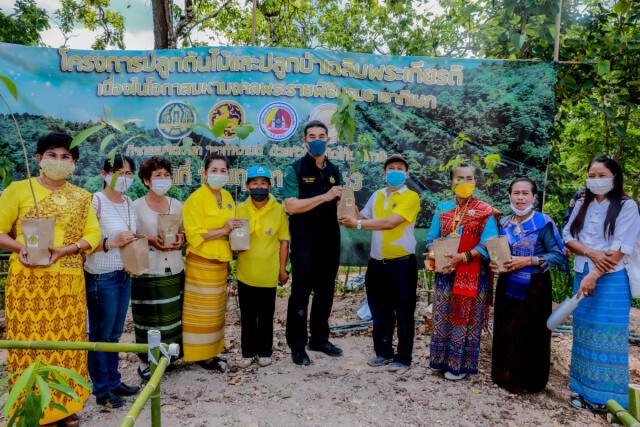 กรมป่าไม้ มอบกล้าไม้ เพิ่มพื้นที่สีเขียว