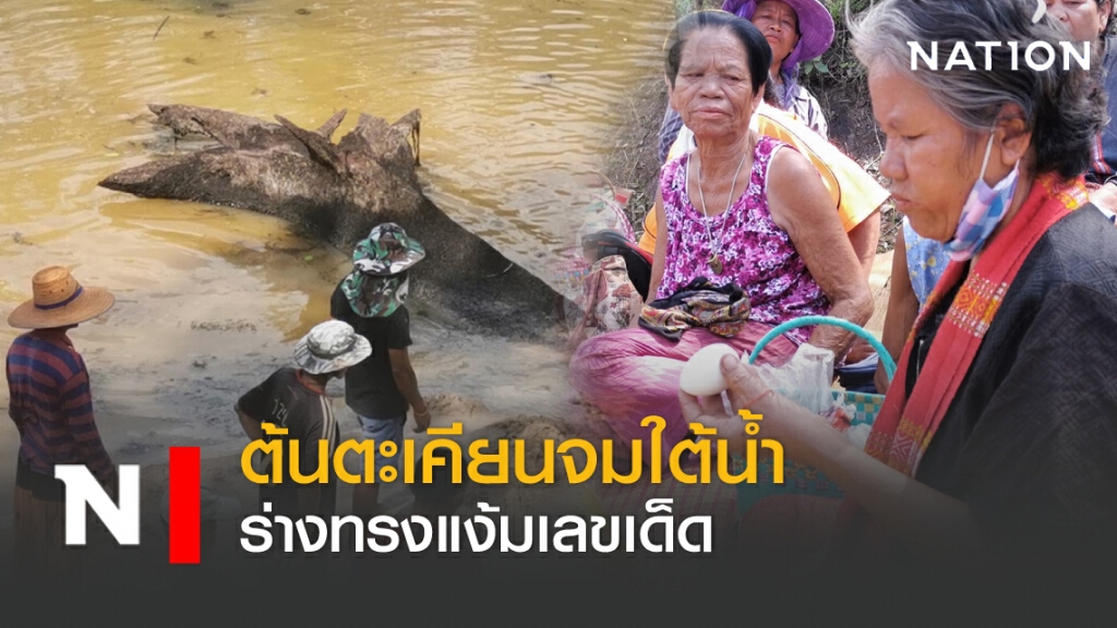 ต้นตะเคียนจมใต้น้ำ ร่างทรงแง้มเลขเด็ด