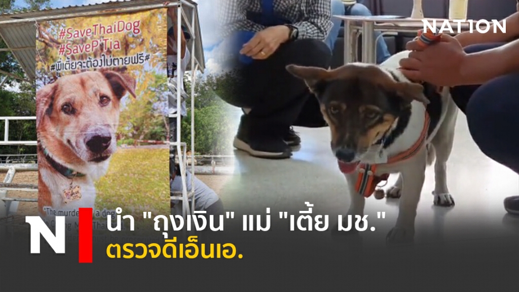 นำ"ถุงเงิน"แม่"เตี้ย มช."ตรวจดีเอ็นเอ. นำ"ถุงเงิน"แม่"เตี้ย มช."ตรวจดีเอ็นเอ.