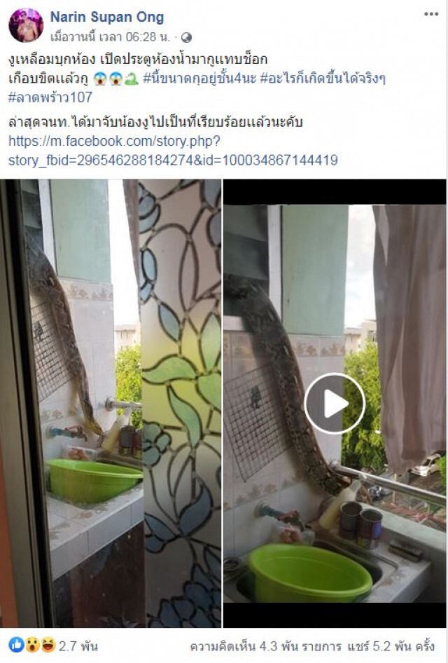 ผวา!! งูเหลือมยักษ์ เลื้อยขึ้นคอนโดชาวเน็ตแห่ดูเลขห้อง