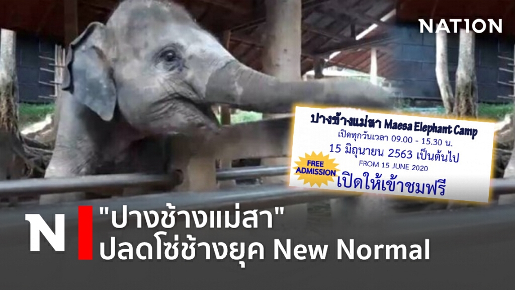"ปางช้างแม่สา"ปลดโซ่ช้างยุค New Normal