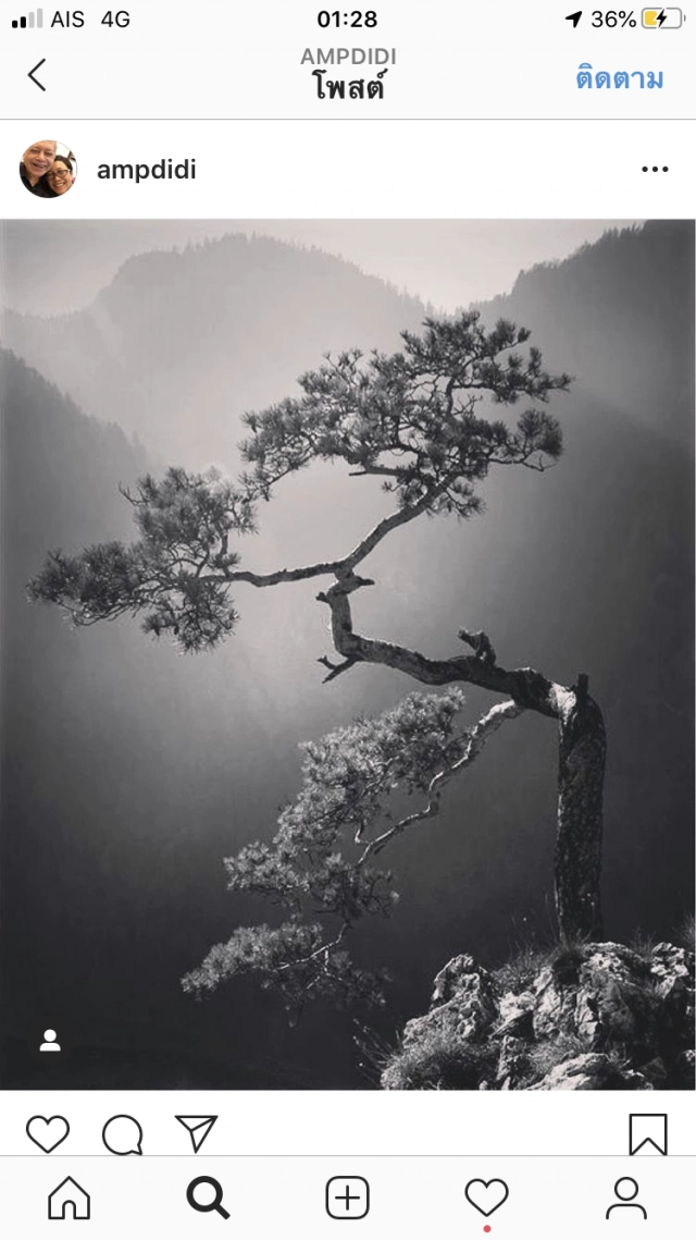 แอม อาลัย ตั้ว "พี่รีบเกินไปหน่อยนะ" บทสนทนาสุดท้ายดีงาม