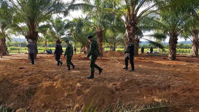 ยึดไม้พะยูงและไม้หวงห้าม ซุกซ่อนในสวนปาล์ม