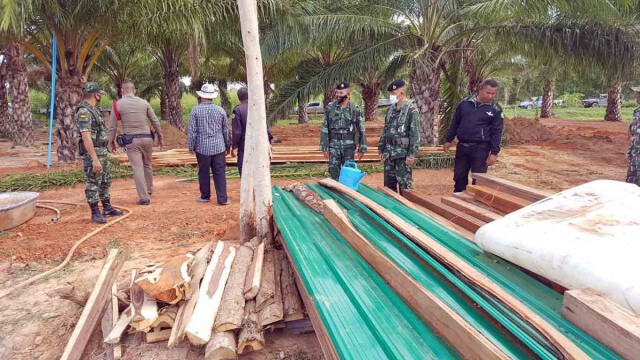 ยึดไม้พะยูงและไม้หวงห้าม ซุกซ่อนในสวนปาล์ม
