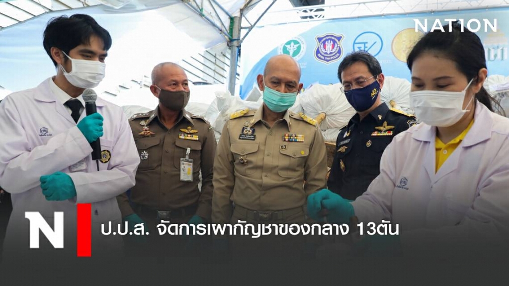 ป.ป.ส. จัดการเผากัญชาของกลาง 13ตัน ป.ป.ส. จัดการเผากัญชาของกลาง 13ตัน