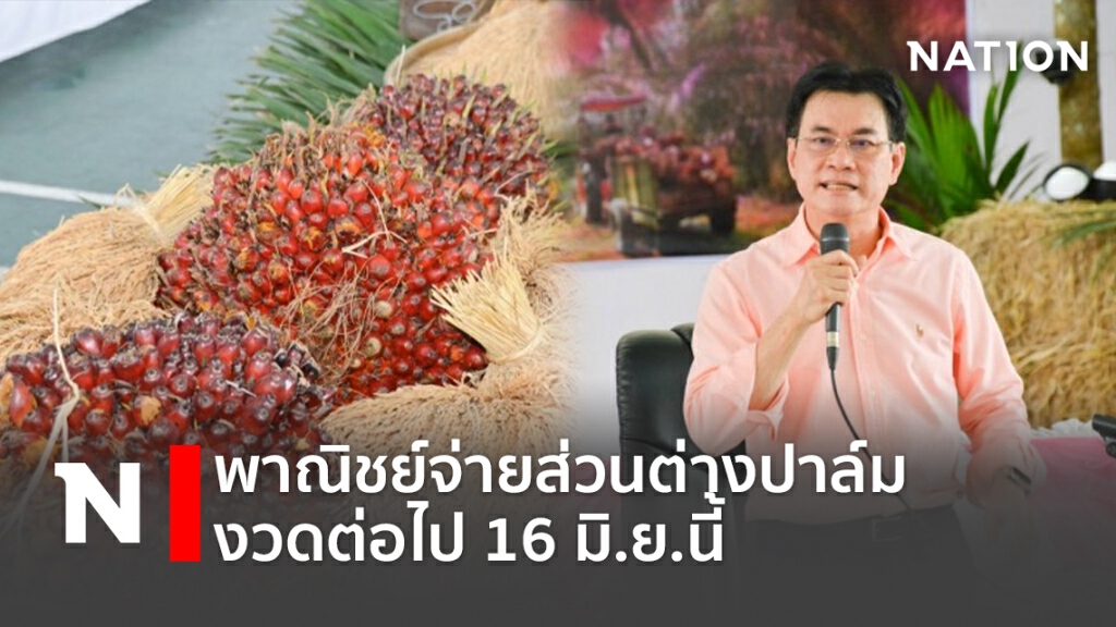 พาณิชย์จ่ายส่วนต่างปาล์มงวดต่อไป 16 มิ.ย.นี้