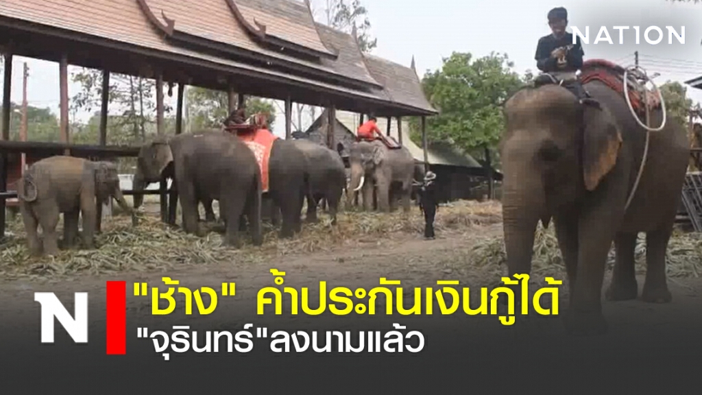 "ช้าง" ค้ำประกันเงินกู้ได้ "จุรินทร์"ลงนามแล้ว