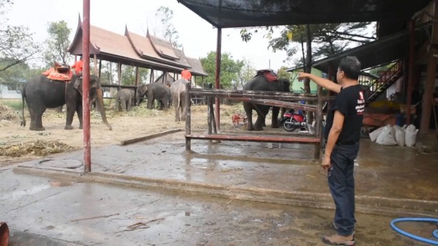 "ช้าง" ค้ำประกันเงินกู้ได้ "จุรินทร์"ลงนามแล้ว