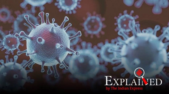 ฮาร์วาร์ด เตือนชาวอเมริกันจะตายเพิ่มอีก 1 แสนคน