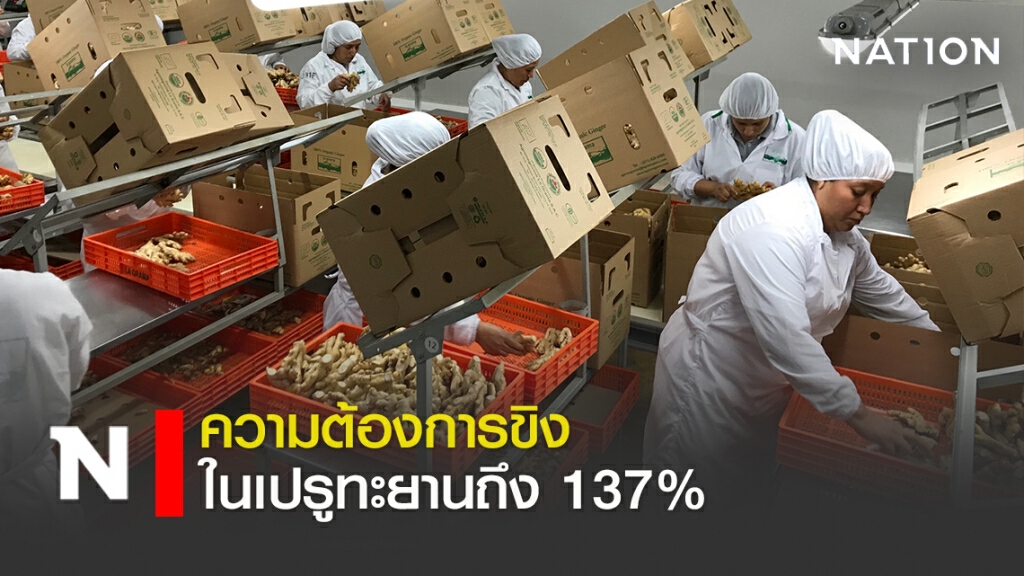 ความต้องการขิงในเปรูทะยานถึง 137% ความต้องการขิงในเปรูทะยานถึง 137%