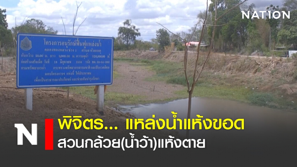 พิจิตร...แหล่งน้ำแห้งขอด สวนกล้วย(น้ำว้า)แห้งตาย
