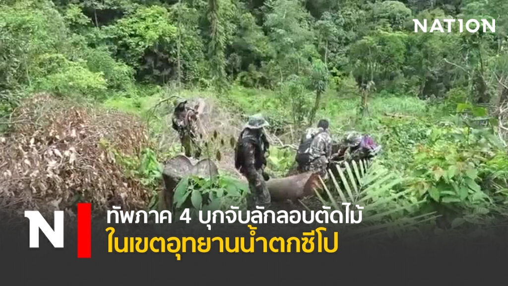 ทัพภาค4 บุกจับลักลอบตัดไม้ ในเขตอุทยานน้ำตกซีโป