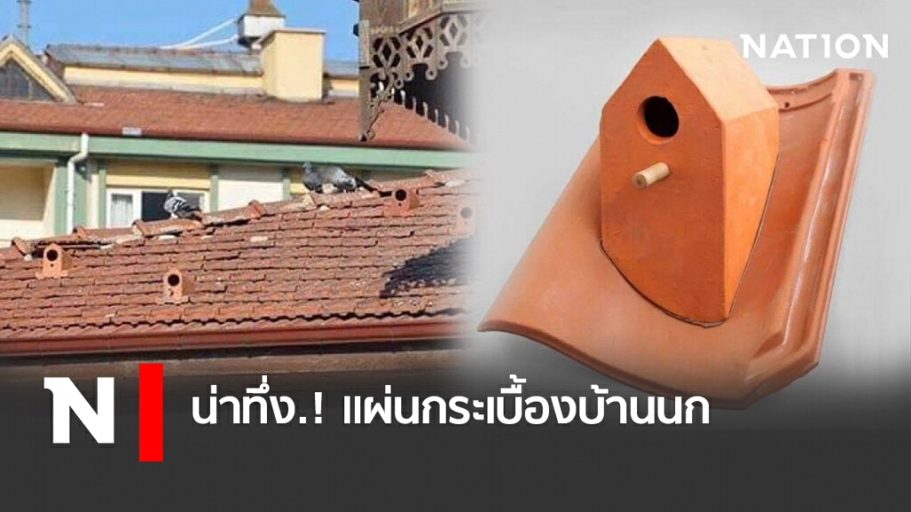 น่าทึ่ง.! แผ่นกระเบื้องบ้านนก น่าทึ่ง.! แผ่นกระเบื้องบ้านนก