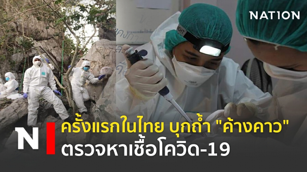 ครั้งแรกในไทย!! บุกถ้ำ "ค้างคาว" เก็บตัวอย่างตรวจหาเชื้อโควิด-19 ครั้งแรกในไทย!! บุกถ้ำ "ค้างคาว" เก็บตัวอย่างตรวจหาเชื้อโควิด-19
