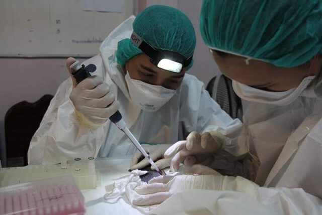 ครั้งแรกในไทย!! บุกถ้ำ "ค้างคาว" เก็บตัวอย่างตรวจหาเชื้อโควิด-19