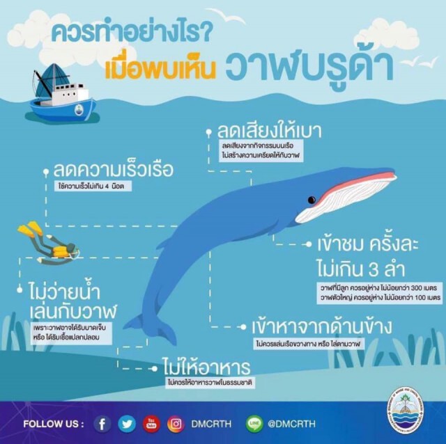 "ดร.ธรณ์"วอนนักท่องเที่ยวเคารพกติกาเมื่อเจอสัตว์หายาก