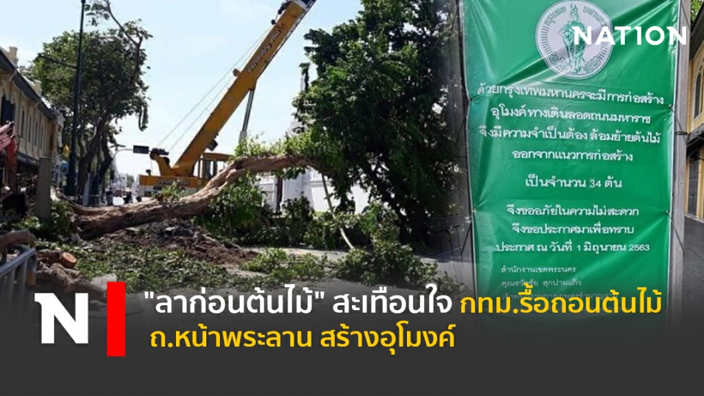 "ลาก่อนต้นไม้" สะเทือนใจ กทม.รื้อถอนต้นไม้ ถ.หน้าพระลาน สร้างอุโมงค์