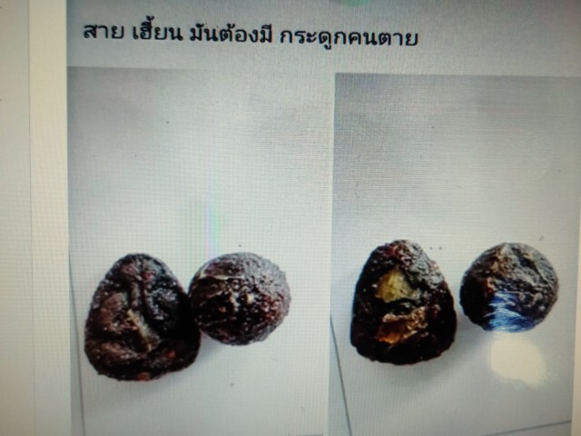 รวบหนุ่มคลั่งไสยศาสตร์ขโมยกระดูกคนตายทำของขลังขายเฟซบุ๊ก