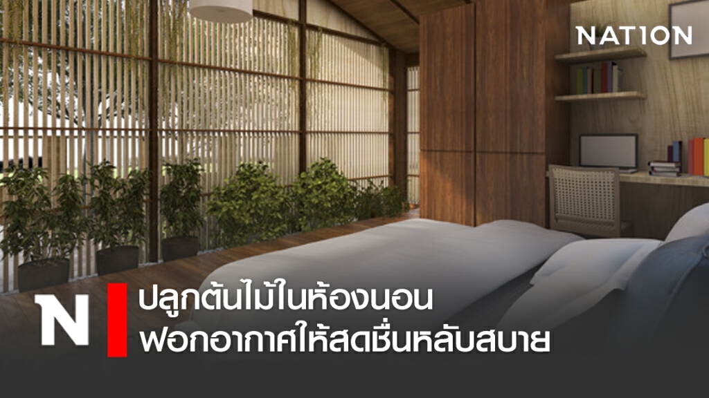 ปลูกต้นไม้ในห้องนอน ฟอกอากาศให้สดชื่นหลับสบาย