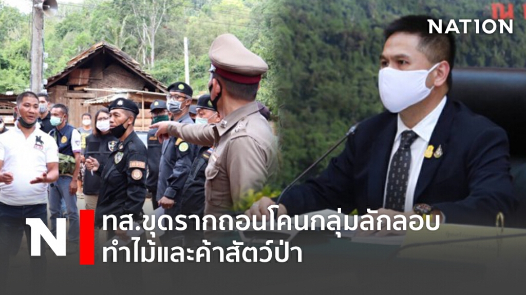 ทส.ขุดรากถอนโคนกลุ่มลักลอบทำไม้และค้าสัตว์ป่า