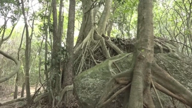 เจดีย์ร้างบนยอด "เขาวงศ์" แหล่งท่องเที่ยวใหม่ กลางป่าสงขลา