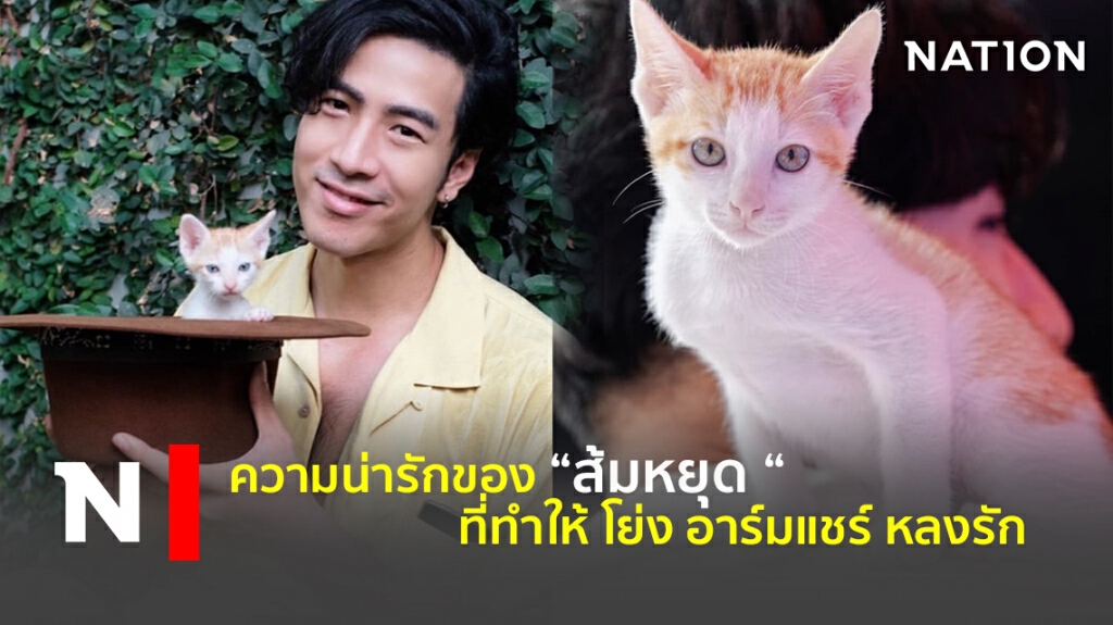 โย่ง อาร์มแชร์ เล่าถึงความน่ารักของ "ส้มหยุด " แมวเหมียวที่ใครๆก็หลงรัก