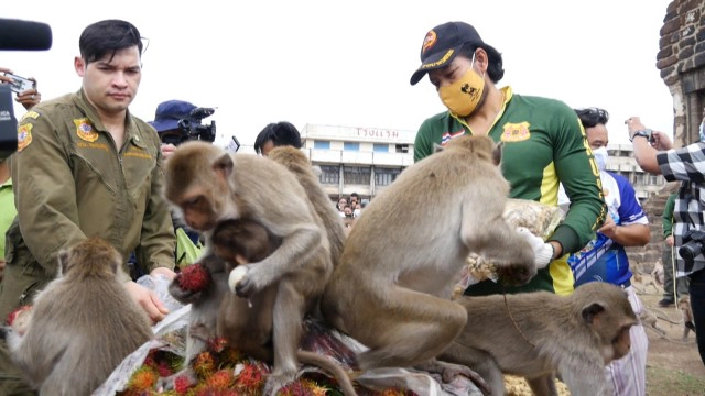 บิณฑ์-ไทด์ นำอาหารเลี้ยงลิงกว่า10คันรถ-ทุเรียน2ตัน